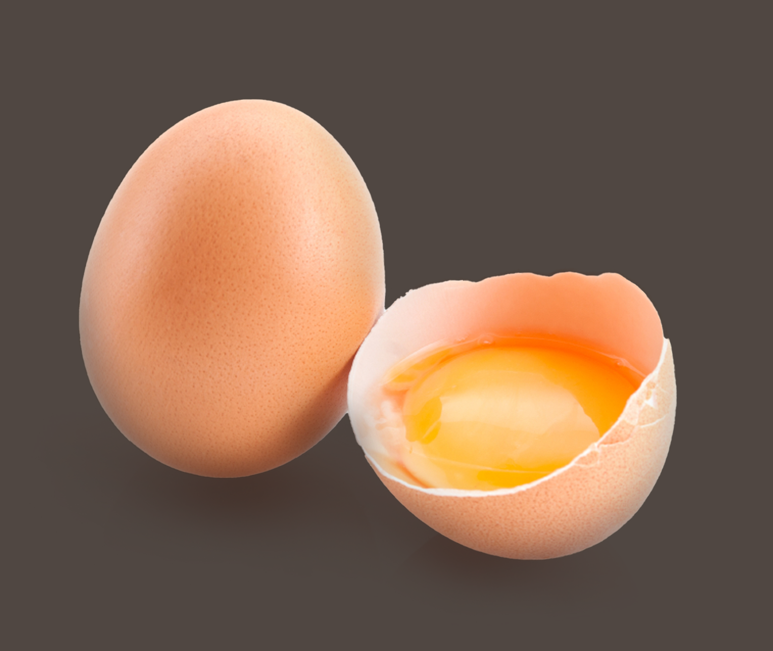 Eier
